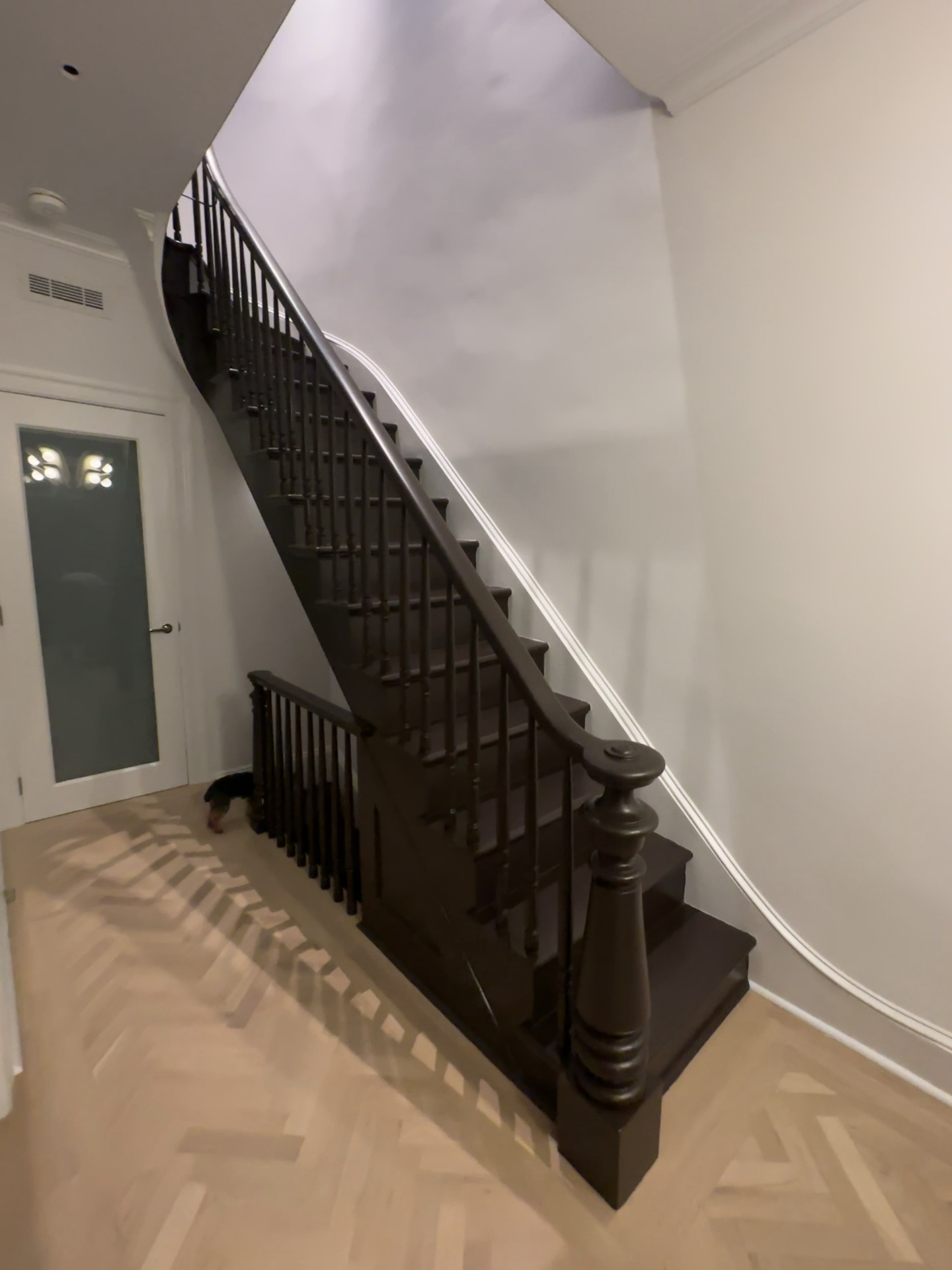 Brooklyn Townhouse Renovation photo 8