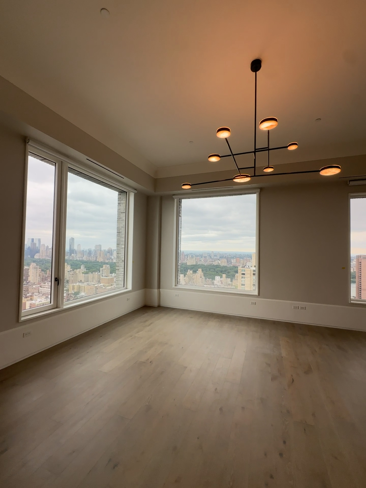 Upper East Side Penthouse photo 29